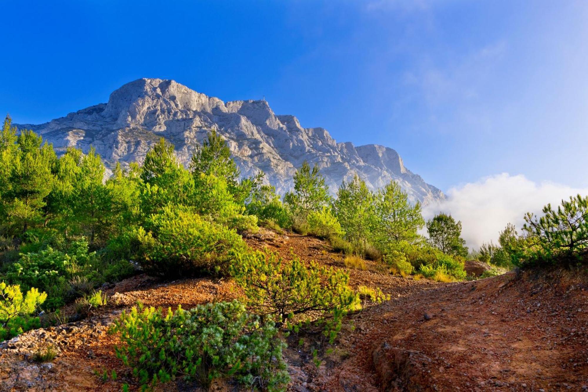Roucas - Sud Passion - Calme - Fibre Daire Marsilya Dış mekan fotoğraf